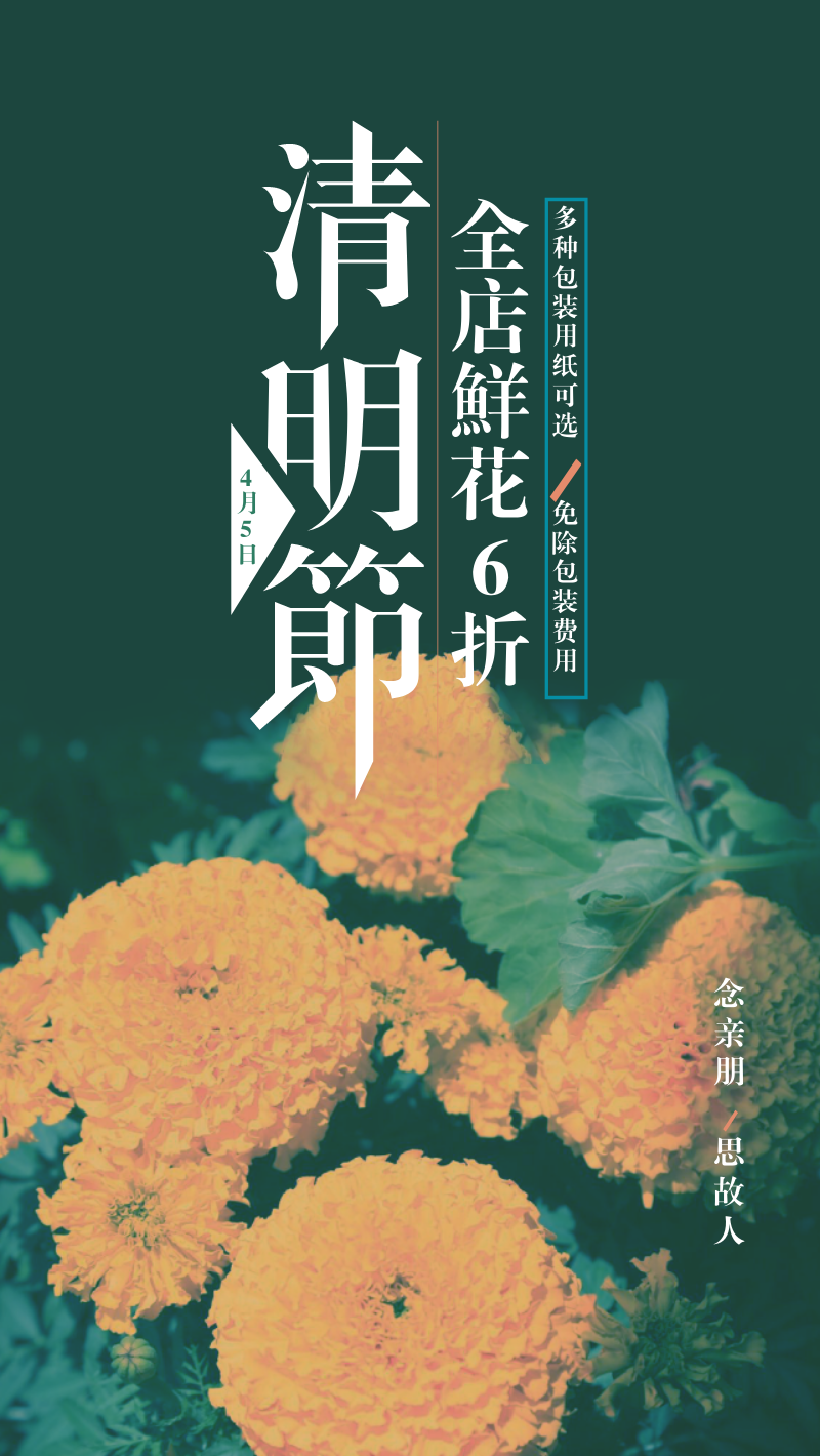 菊花清明节绿色简约鲜花手机海报