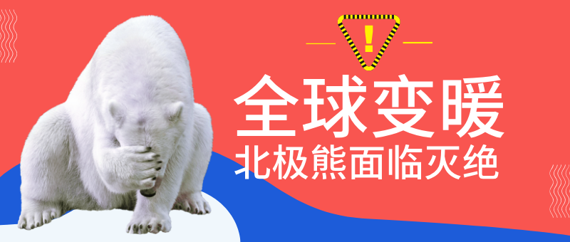 全球变暖北京熊面临灭绝环保公众号文章首图