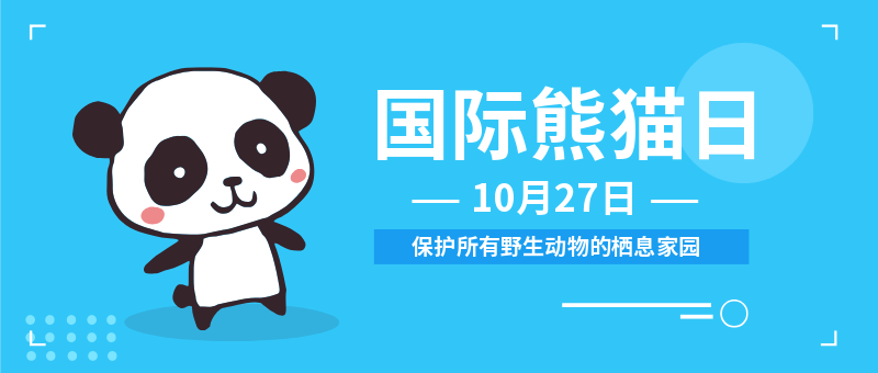 国际熊猫日保护野生动物地球环境公众号新版首图
