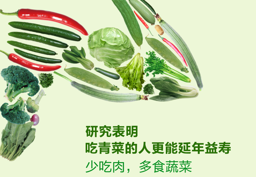 新鲜蔬菜宣传单在线设计模板