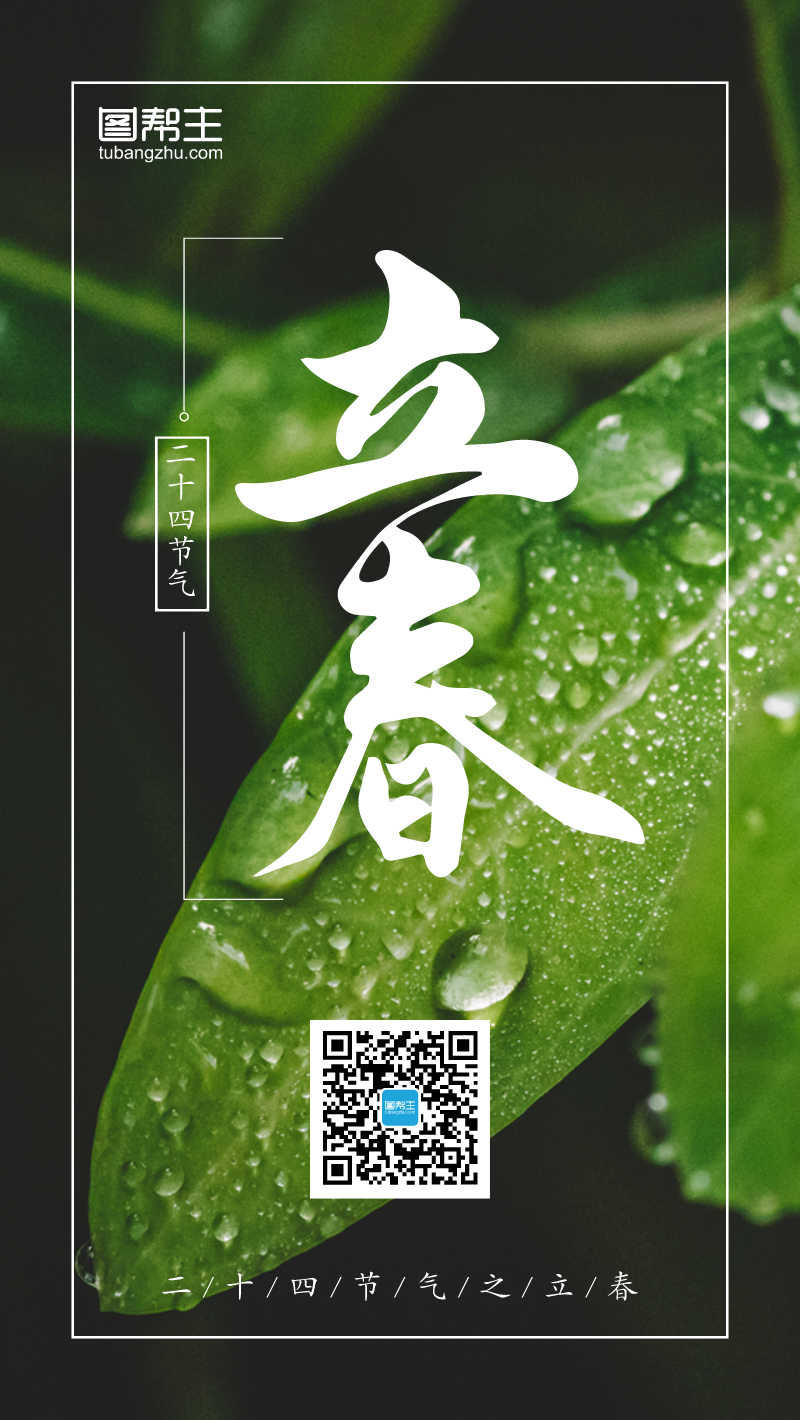 清新植物立春节气手机海报