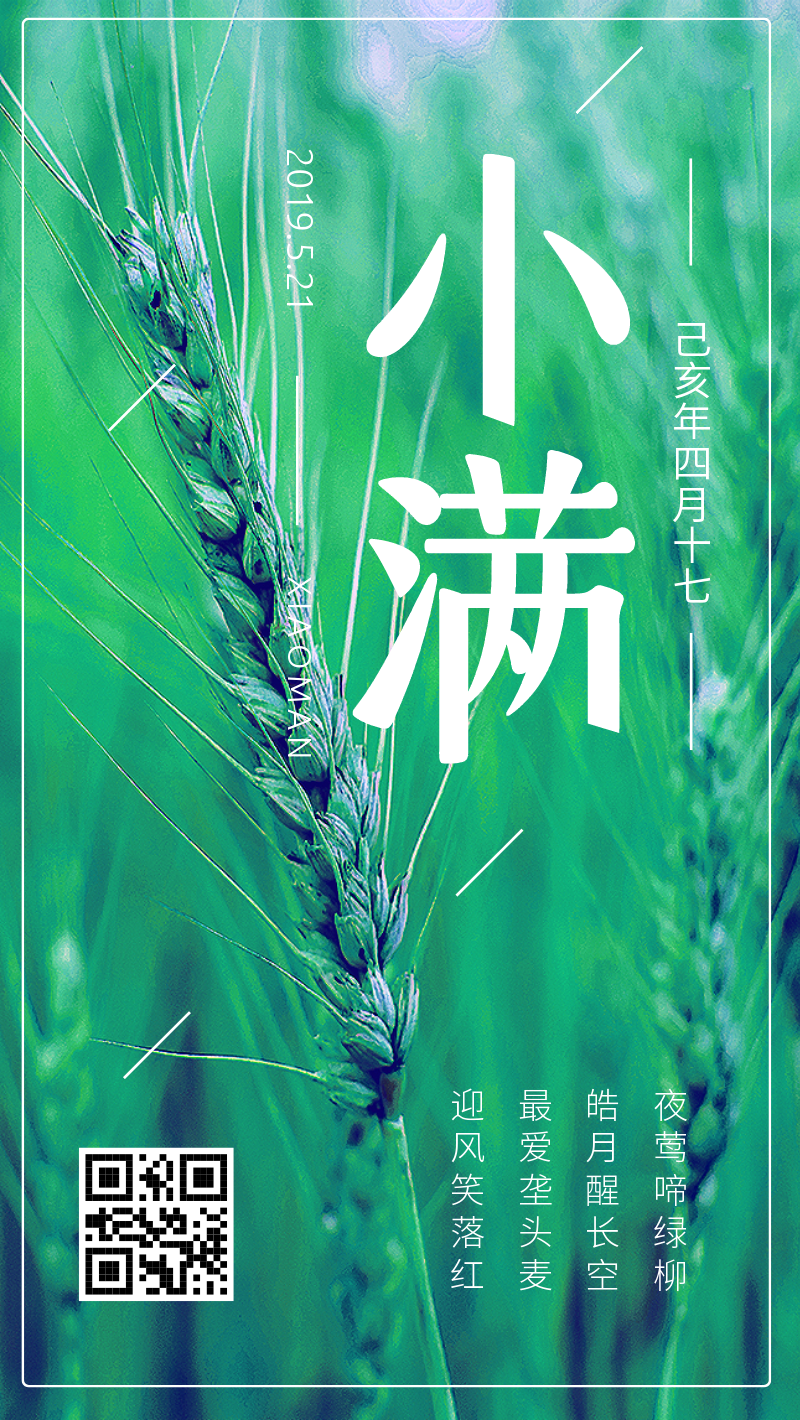 青青小麦，小满节气手机海报设计模板