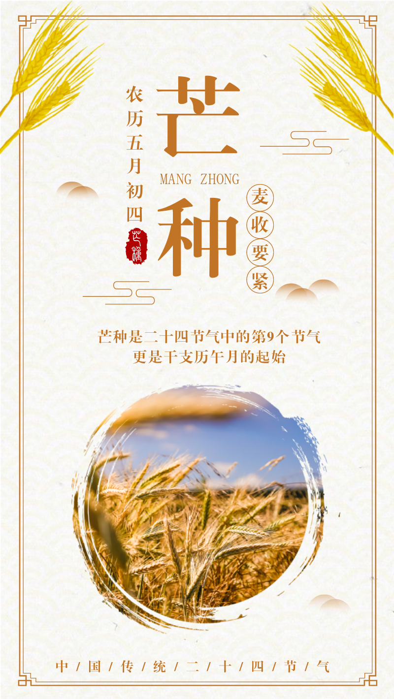 金黄色小麦芒种节气手机海报设计模板