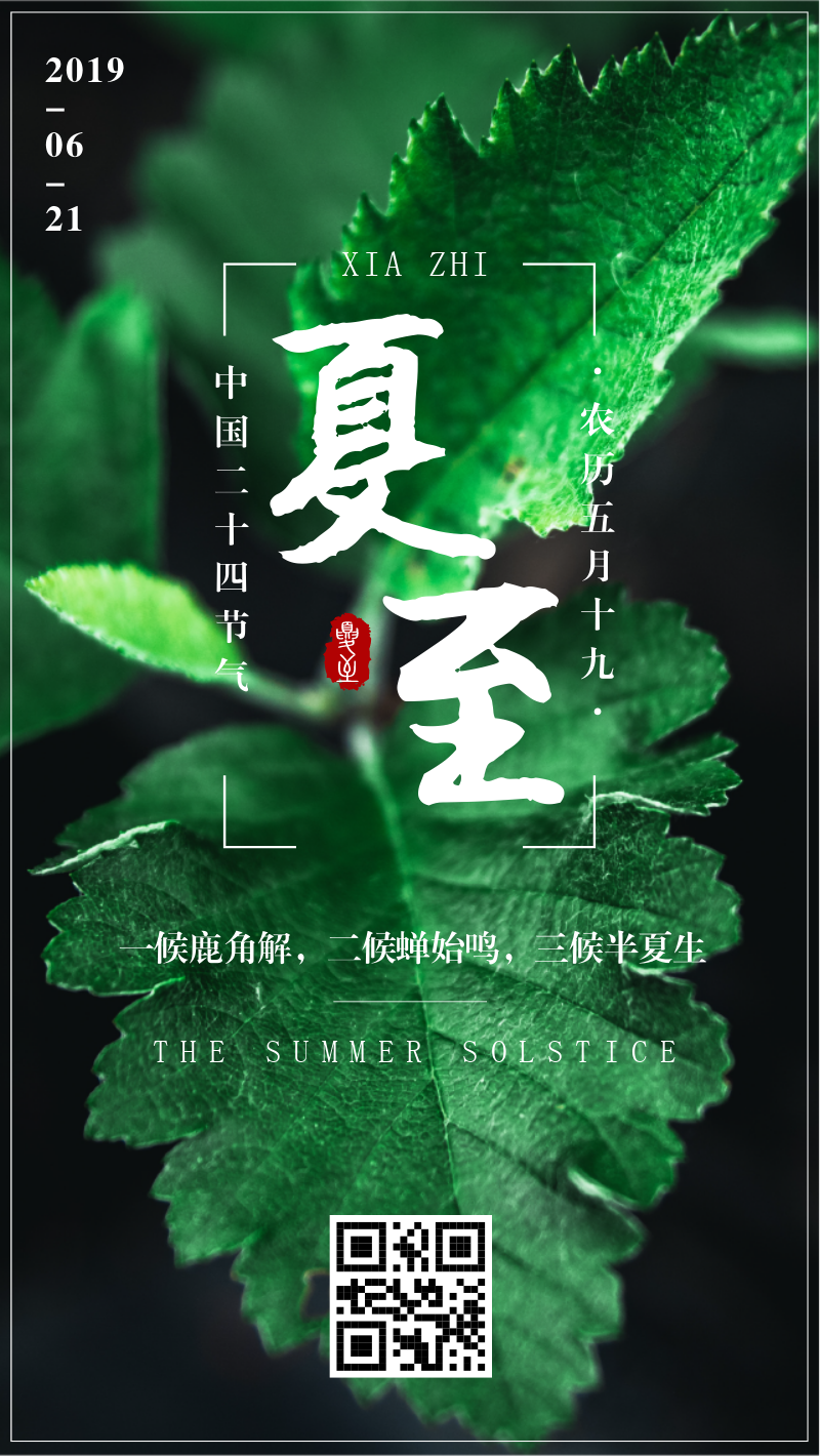 中国二十四节气夏至手机海报
