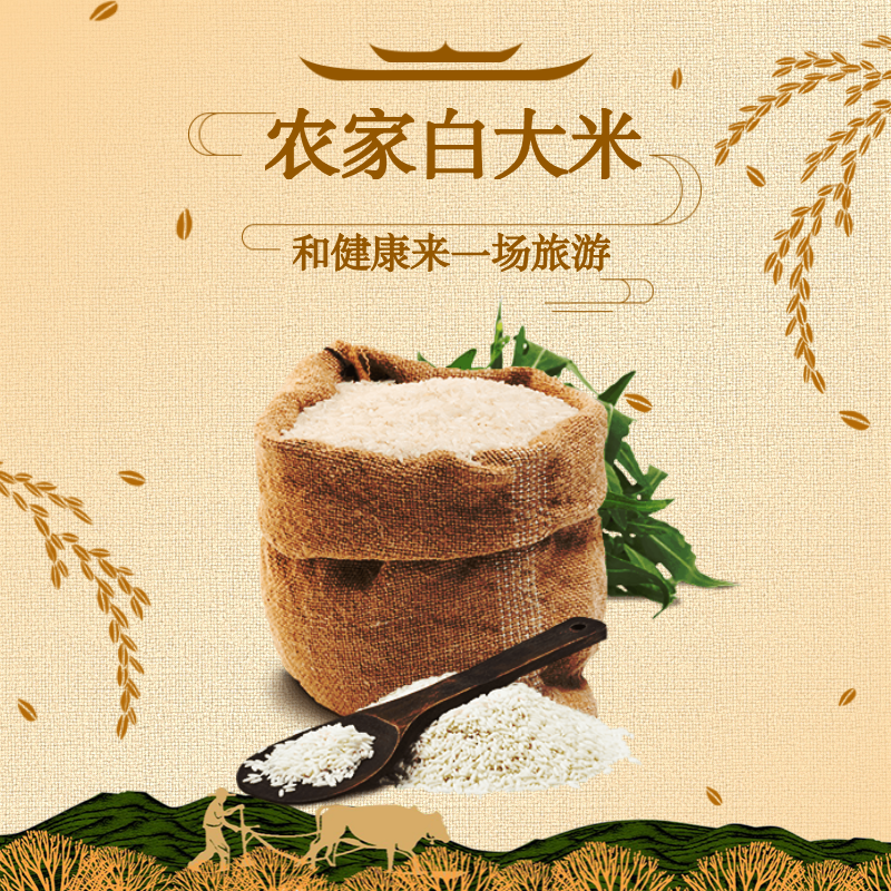 农家白大米简洁主图